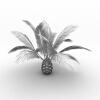 加拿利海枣-动植物-植物-VR/AR模型-3D城