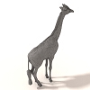 长颈鹿-动植物-哺乳动物-VR/AR模型-3D城