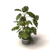 植物-动植物-盆栽-VR/AR模型-3D城