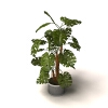 植物-动植物-盆栽-VR/AR模型-3D城
