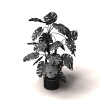 植物-动植物-盆栽-VR/AR模型-3D城