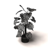 植物-动植物-盆栽-VR/AR模型-3D城
