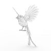 鸟-动植物-鸟类-VR/AR模型-3D城