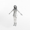 塞拉-角色人体-角色-VR/AR模型-3D城