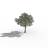 植物-动植物-植物-VR/AR模型-3D城