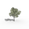植物-动植物-植物-VR/AR模型-3D城