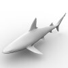 鲨鱼-动植物-鱼类-VR/AR模型-3D城