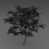 室外植物-动植物-植物-VR/AR模型-3D城