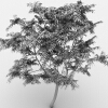 室外植物-动植物-植物-VR/AR模型-3D城