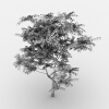 室外植物-动植物-植物-VR/AR模型-3D城