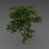 室外植物-动植物-植物-VR/AR模型-3D城