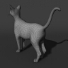 猫-动植物-哺乳动物-VR/AR模型-3D城