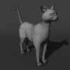 猫-动植物-哺乳动物-VR/AR模型-3D城