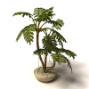 植物 -动植物-盆栽-VR/AR模型-3D城