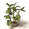 植物 -动植物-盆栽-VR/AR模型-3D城