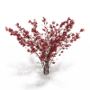 花草-动植物-植物-VR/AR模型-3D城