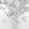 花草-动植物-植物-VR/AR模型-3D城