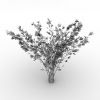 花草-动植物-植物-VR/AR模型-3D城