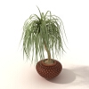 盆景-动植物-盆栽-VR/AR模型-3D城