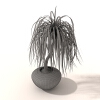 盆景-动植物-盆栽-VR/AR模型-3D城